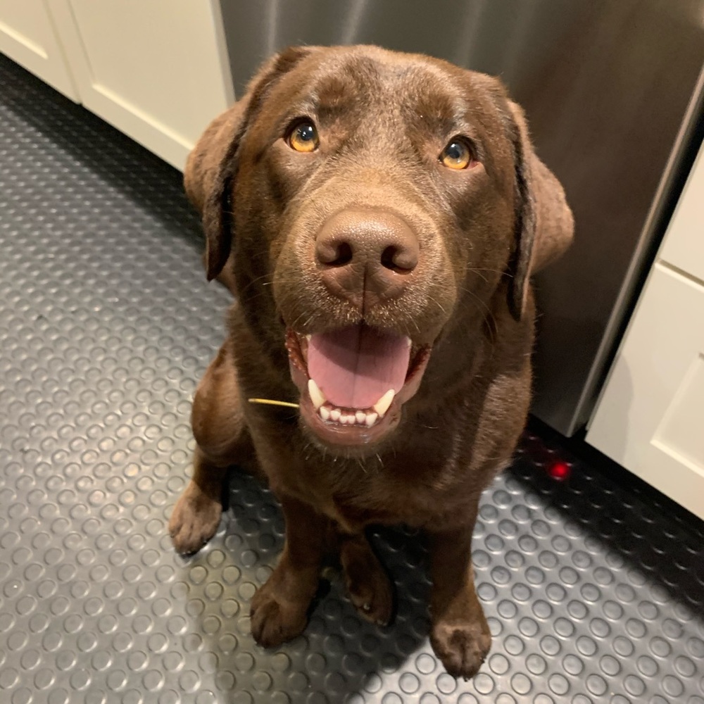 Meet your Posher, Jody